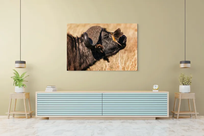 Tablou Canvas, "Bivol și pasărea curajoasă africanele", Bufniță, Pasăre, Bizon, Pene, Coarne, Păr, Interacțiune, Natură, Sălbăticie, Câmpie, 150 x 100 cm – poza 6