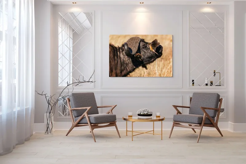 Tablou Canvas, "Bivol și pasărea curajoasă africanele", Bufniță, Pasăre, Bizon, Pene, Coarne, Păr, Interacțiune, Natură, Sălbăticie, Câmpie, 150 x 100 cm – poza 7