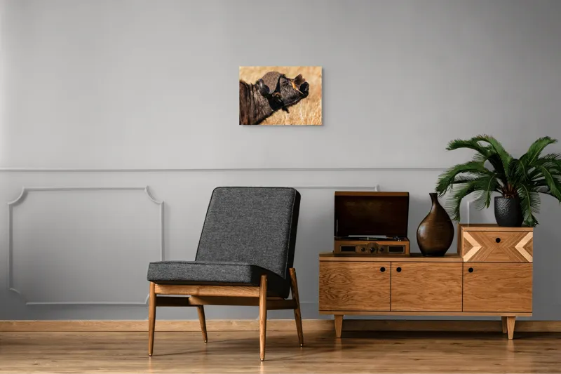 Tablou Canvas, "Bivol și pasărea curajoasă africanele", Bufniță, Pasăre, Bizon, Pene, Coarne, Păr, Interacțiune, Natură, Sălbăticie, Câmpie, 54 x 39 cm – poza 7