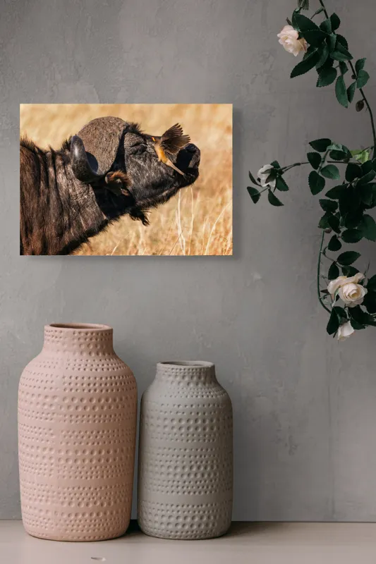 Tablou Canvas, "Bivol și pasărea curajoasă africanele", Bufniță, Pasăre, Bizon, Pene, Coarne, Păr, Interacțiune, Natură, Sălbăticie, Câmpie, 54 x 39 cm – poza 8