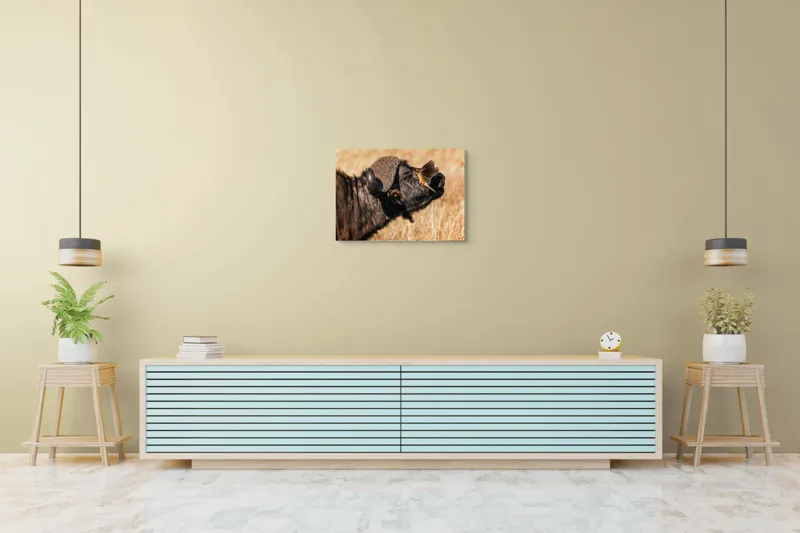Tablou Canvas, "Bivol și pasărea curajoasă africanele", Bufniță, Pasăre, Bizon, Pene, Coarne, Păr, Interacțiune, Natură, Sălbăticie, Câmpie, 70 x 50 cm – poza 7