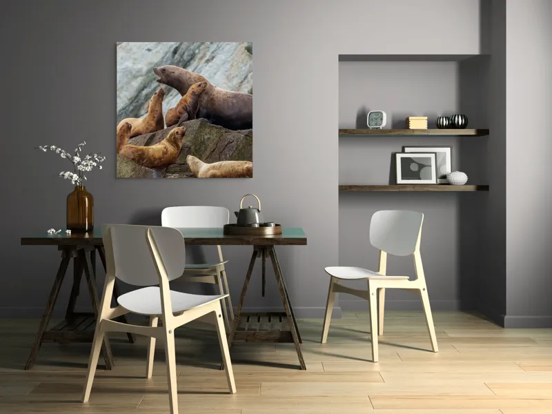 Tablou Canvas, "Leii de mare pe stânci rugoase", Leii De Mare, Rocă, Gălăgie, Natură, Colonie, Relaxare, Blană, Coste Rugoase, 100 x 100 cm – poza 6