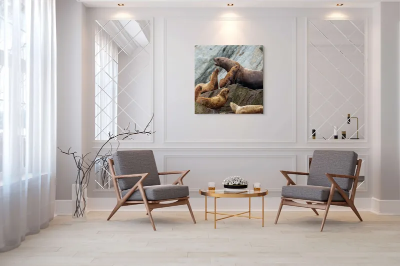 Tablou Canvas, "Leii de mare pe stânci rugoase", Leii De Mare, Rocă, Gălăgie, Natură, Colonie, Relaxare, Blană, Coste Rugoase, 100 x 100 cm – poza 7