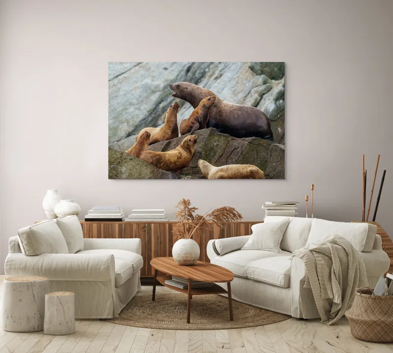 Tablou Canvas, "Leii de mare pe stânci rugoase", Leii De Mare, Rocă, Gălăgie, Natură, Colonie, Relaxare, Blană, Coste Rugoase, 150 x 100 cm – poza 3