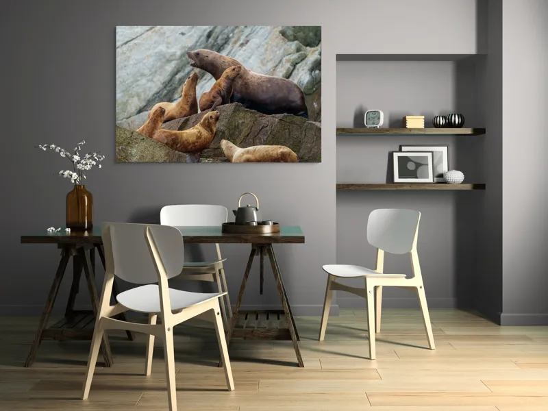 Tablou Canvas, "Leii de mare pe stânci rugoase", Leii De Mare, Rocă, Gălăgie, Natură, Colonie, Relaxare, Blană, Coste Rugoase, 150 x 100 cm – poza 5