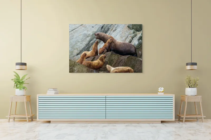 Tablou Canvas, "Leii de mare pe stânci rugoase", Leii De Mare, Rocă, Gălăgie, Natură, Colonie, Relaxare, Blană, Coste Rugoase, 150 x 100 cm – poza 6