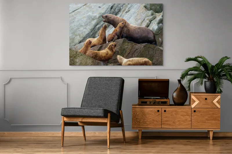 Tablou Canvas, "Leii de mare pe stânci rugoase", Leii De Mare, Rocă, Gălăgie, Natură, Colonie, Relaxare, Blană, Coste Rugoase, 150 x 100 cm – poza 8