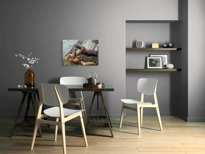 Tablou Canvas, "Leii de mare pe stânci rugoase", Leii De Mare, Rocă, Gălăgie, Natură, Colonie, Relaxare, Blană, Coste Rugoase, 70 x 50 cm – poza 5