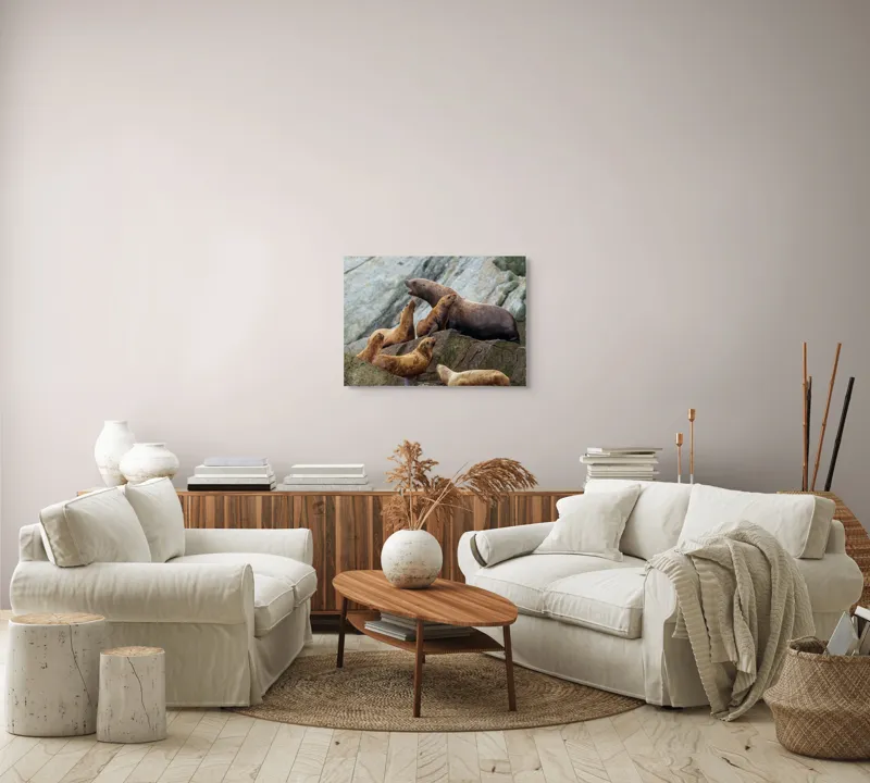 Tablou Canvas, "Leii de mare pe stânci rugoase", Leii De Mare, Rocă, Gălăgie, Natură, Colonie, Relaxare, Blană, Coste Rugoase, 70 x 50 cm – poza 6