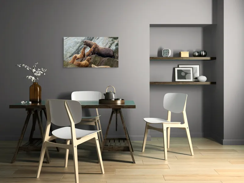 Tablou Canvas, "Leii de mare pe stânci rugoase", Leii De Mare, Rocă, Gălăgie, Natură, Colonie, Relaxare, Blană, Coste Rugoase, 90 x 50 cm – poza 3