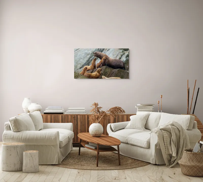 Tablou Canvas, "Leii de mare pe stânci rugoase", Leii De Mare, Rocă, Gălăgie, Natură, Colonie, Relaxare, Blană, Coste Rugoase, 90 x 50 cm – poza 4