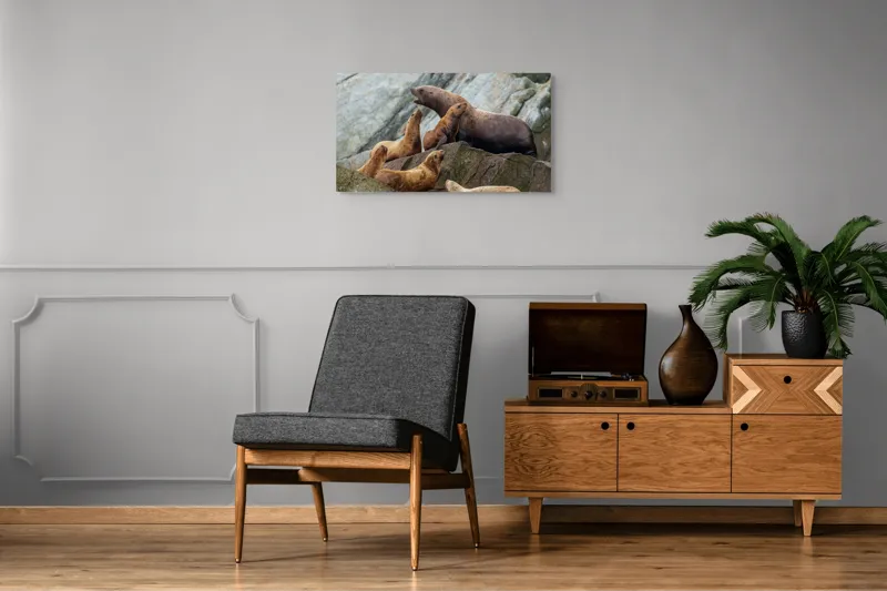 Tablou Canvas, "Leii de mare pe stânci rugoase", Leii De Mare, Rocă, Gălăgie, Natură, Colonie, Relaxare, Blană, Coste Rugoase, 90 x 50 cm – poza 6