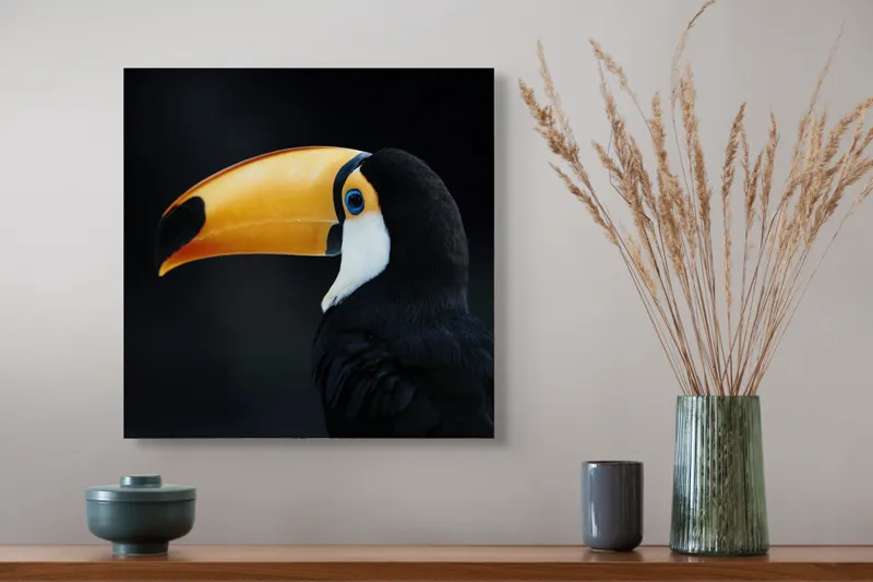 Tablou Canvas, "Tucanul în noapte liniștitoare", Pasăre, Tucan, Cioc, Portocaliu, Negru, Ochi, Contrast, Profil, Exotică, 50 x 50 cm – poza 4