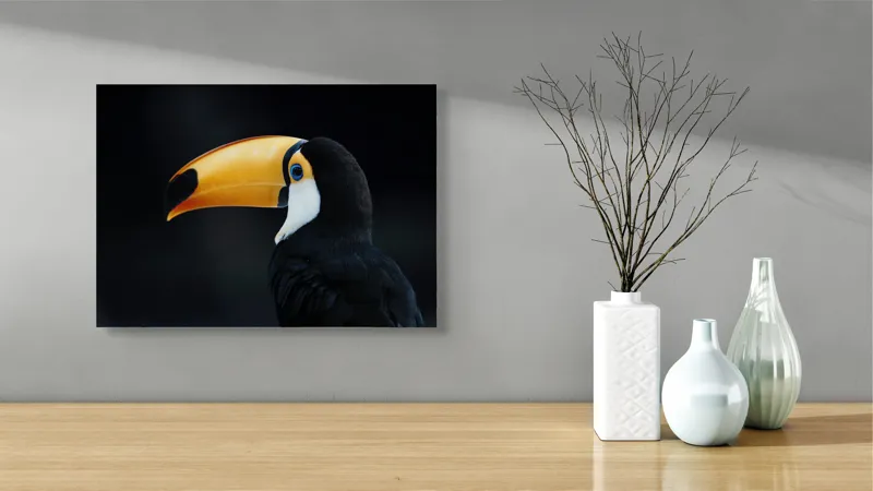 Tablou Canvas, "Tucanul în noapte liniștitoare", Pasăre, Tucan, Cioc, Portocaliu, Negru, Ochi, Contrast, Profil, Exotică, 54 x 39 cm – poza 3