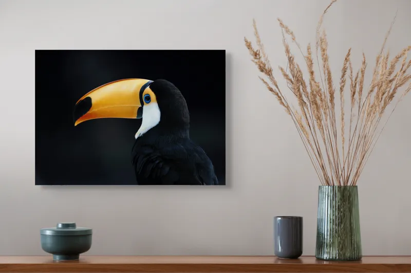 Tablou Canvas, "Tucanul în noapte liniștitoare", Pasăre, Tucan, Cioc, Portocaliu, Negru, Ochi, Contrast, Profil, Exotică, 54 x 39 cm – poza 4