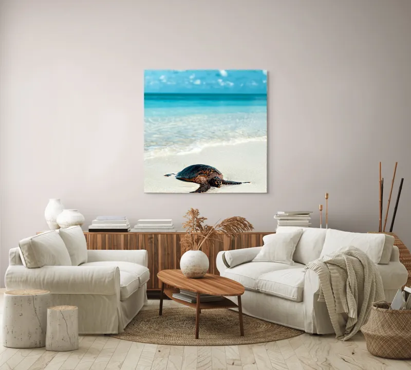 Tablou Canvas, "Țestoasa odihnindu-se pe nisip alb", Broască, Țestoasă, Plajă, Ocean, Nisip, Albastru, Cer, Valuri, Natură, Calm, 100 x 100 cm – poza 3