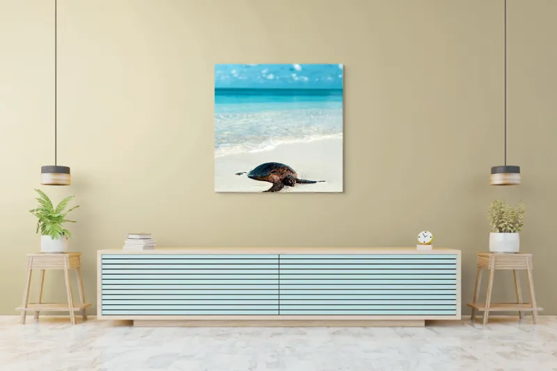 Tablou Canvas, "Țestoasa odihnindu-se pe nisip alb", Broască, Țestoasă, Plajă, Ocean, Nisip, Albastru, Cer, Valuri, Natură, Calm, 100 x 100 cm – poza 5