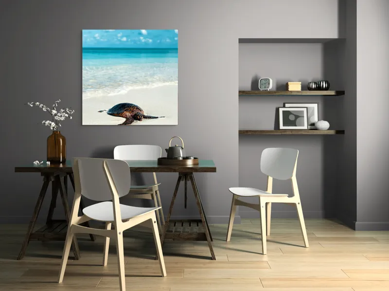 Tablou Canvas, "Țestoasa odihnindu-se pe nisip alb", Broască, Țestoasă, Plajă, Ocean, Nisip, Albastru, Cer, Valuri, Natură, Calm, 100 x 100 cm – poza 6