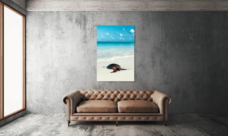 Tablou Canvas, "Țestoasa odihnindu-se pe nisip alb", Broască, Țestoasă, Plajă, Ocean, Nisip, Albastru, Cer, Valuri, Natură, Calm, 100 x 150 cm – poza 6