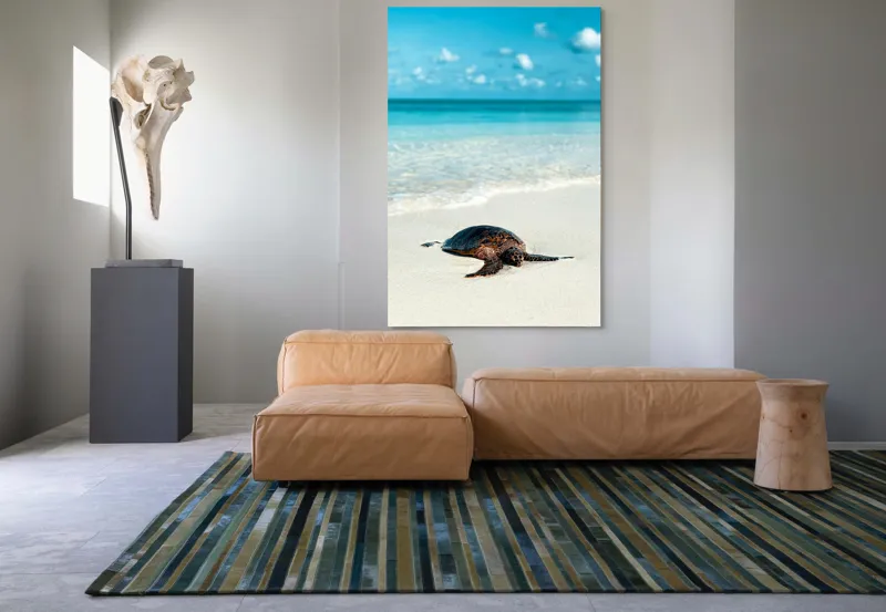 Tablou Canvas, "Țestoasa odihnindu-se pe nisip alb", Broască, Țestoasă, Plajă, Ocean, Nisip, Albastru, Cer, Valuri, Natură, Calm, 100 x 150 cm – poza 7