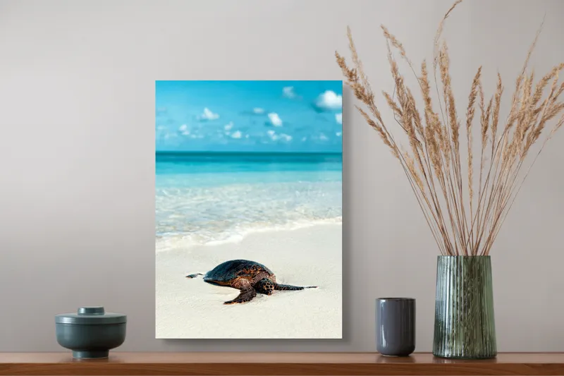 Tablou Canvas, "Țestoasa odihnindu-se pe nisip alb", Broască, Țestoasă, Plajă, Ocean, Nisip, Albastru, Cer, Valuri, Natură, Calm, 39 x 54 cm – poza 3