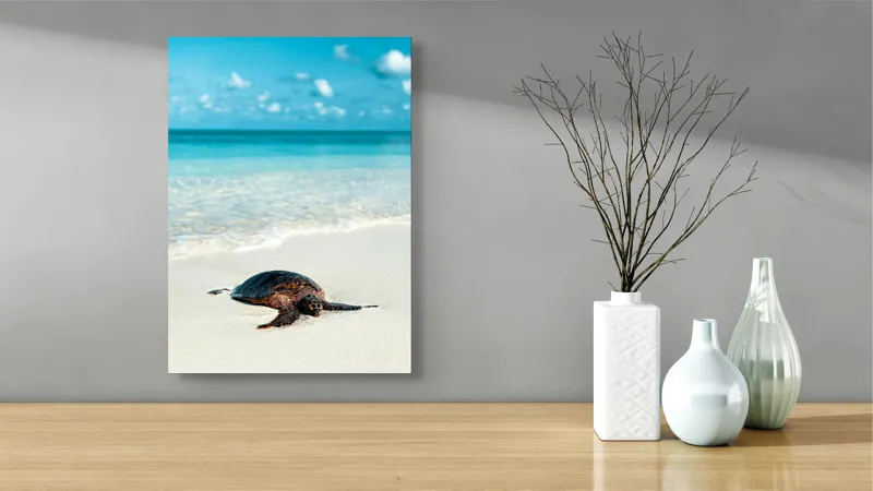 Tablou Canvas, "Țestoasa odihnindu-se pe nisip alb", Broască, Țestoasă, Plajă, Ocean, Nisip, Albastru, Cer, Valuri, Natură, Calm, 39 x 54 cm – poza 4