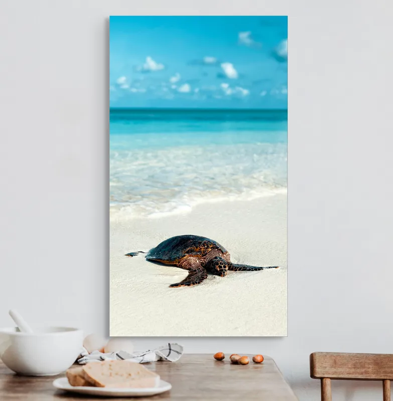 Tablou Canvas, "Țestoasa odihnindu-se pe nisip alb", Broască, Țestoasă, Plajă, Ocean, Nisip, Albastru, Cer, Valuri, Natură, Calm, 50 x 90 cm – poza 3