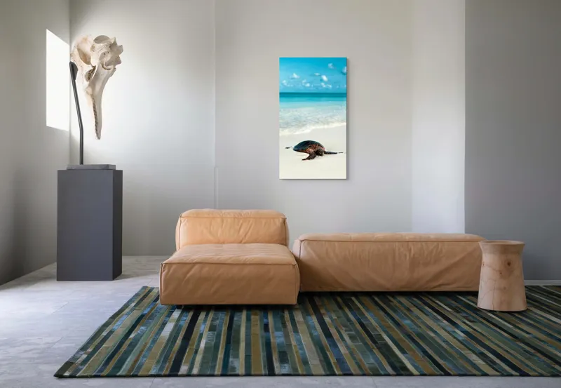 Tablou Canvas, "Țestoasa odihnindu-se pe nisip alb", Broască, Țestoasă, Plajă, Ocean, Nisip, Albastru, Cer, Valuri, Natură, Calm, 50 x 90 cm – poza 5