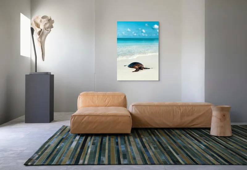 Tablou Canvas, "Țestoasa odihnindu-se pe nisip alb", Broască, Țestoasă, Plajă, Ocean, Nisip, Albastru, Cer, Valuri, Natură, Calm, 70 x 100 cm – poza 7