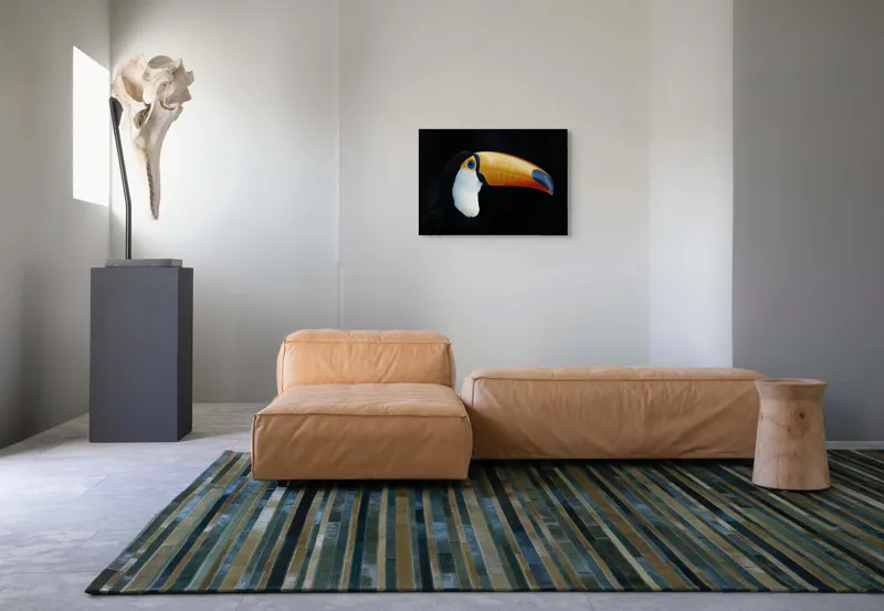 Tablou Canvas, "Tucanul în lumină nocturnă alexandrină", Pasăre, Cioc, Portocaliu, Exotism, Ochi, Negru, 70 x 50 cm – poza 8