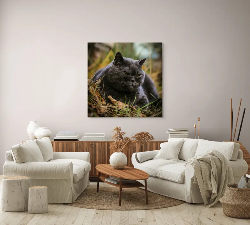 Tablou Canvas, "Pisica contemplativă în natura de toamnă", Nu știu cine este în imagine, dar pot spune că este un pisoi gri, cu o expresie calmă și fiind pe fundal de natură., 100 x 100 cm – poza 3