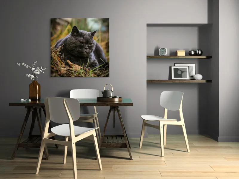 Tablou Canvas, "Pisica contemplativă în natura de toamnă", Nu știu cine este în imagine, dar pot spune că este un pisoi gri, cu o expresie calmă și fiind pe fundal de natură., 100 x 100 cm – poza 6