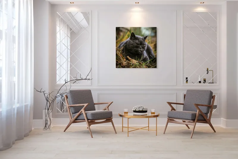 Tablou Canvas, "Pisica contemplativă în natura de toamnă", Nu știu cine este în imagine, dar pot spune că este un pisoi gri, cu o expresie calmă și fiind pe fundal de natură., 100 x 100 cm – poza 7