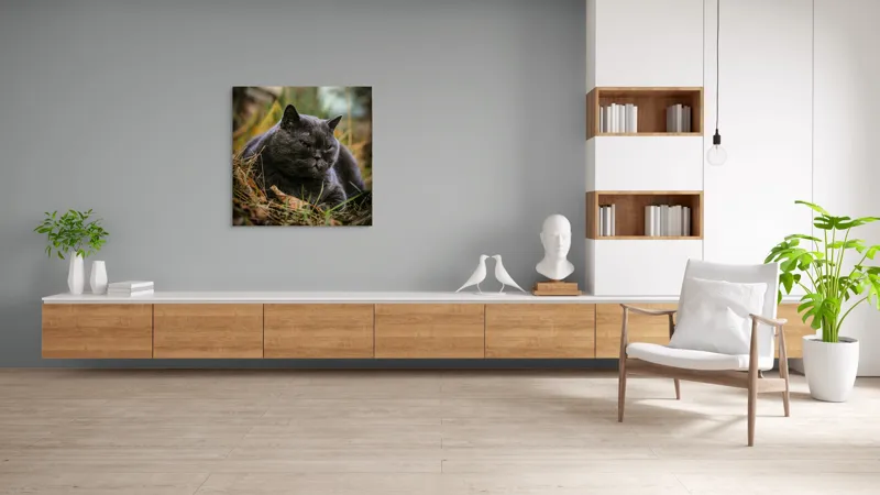Tablou Canvas, "Pisica contemplativă în natura de toamnă", Nu știu cine este în imagine, dar pot spune că este un pisoi gri, cu o expresie calmă și fiind pe fundal de natură., 100 x 100 cm – poza 8