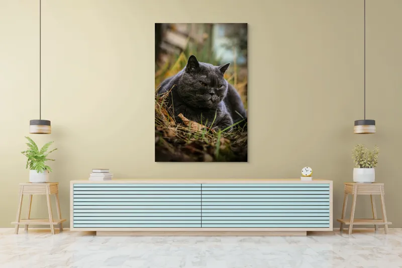 Tablou Canvas, "Pisica contemplativă în natura de toamnă", Nu știu cine este în imagine, dar pot spune că este un pisoi gri, cu o expresie calmă și fiind pe fundal de natură., 100 x 150 cm – poza 4