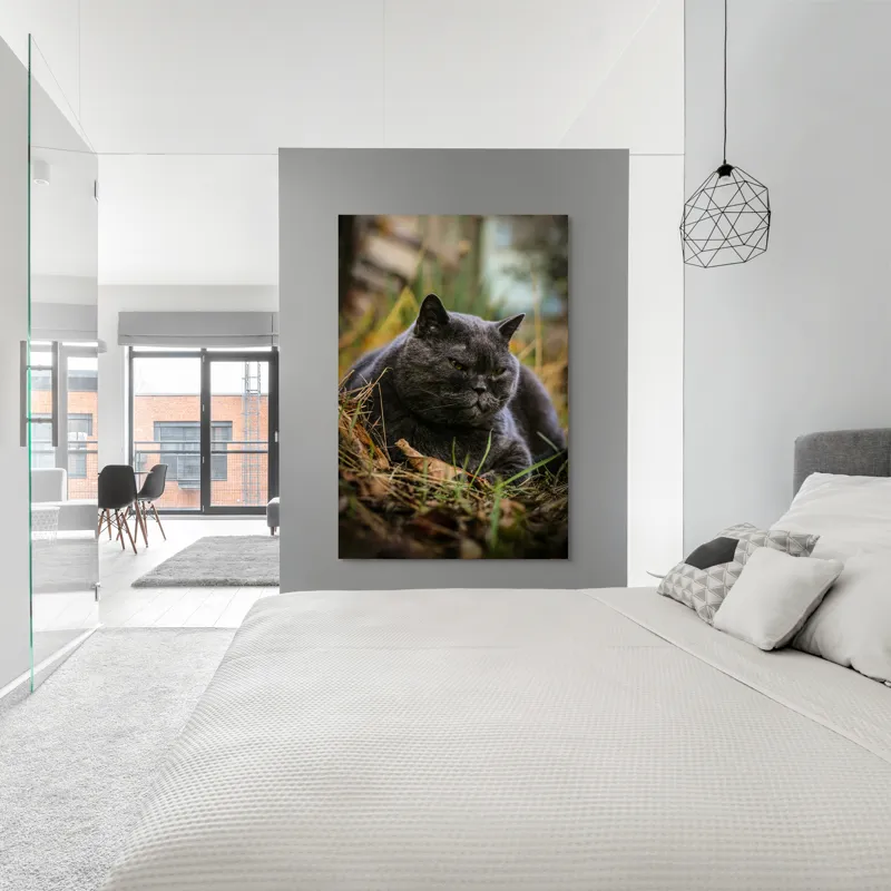 Tablou Canvas, "Pisica contemplativă în natura de toamnă", Nu știu cine este în imagine, dar pot spune că este un pisoi gri, cu o expresie calmă și fiind pe fundal de natură., 100 x 150 cm – poza 5