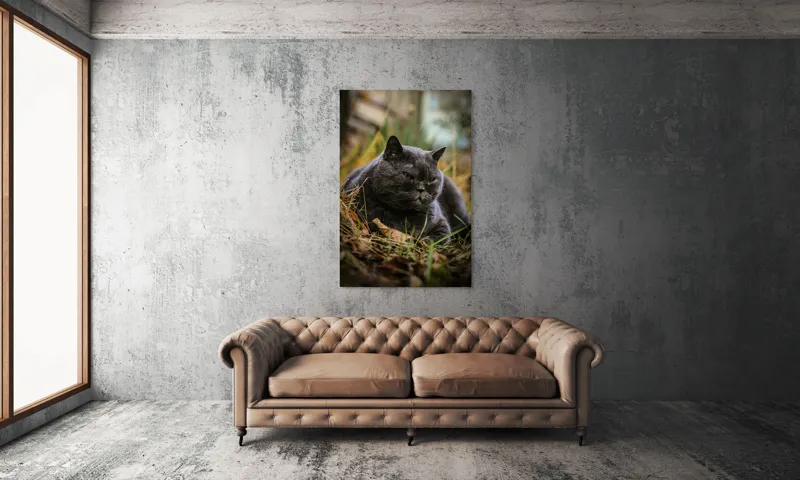 Tablou Canvas, "Pisica contemplativă în natura de toamnă", Nu știu cine este în imagine, dar pot spune că este un pisoi gri, cu o expresie calmă și fiind pe fundal de natură., 100 x 150 cm – poza 6