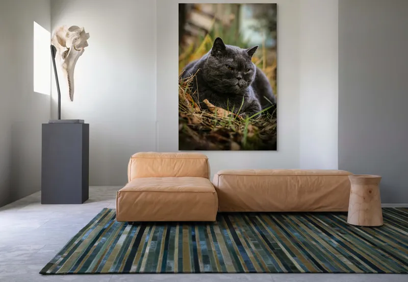 Tablou Canvas, "Pisica contemplativă în natura de toamnă", Nu știu cine este în imagine, dar pot spune că este un pisoi gri, cu o expresie calmă și fiind pe fundal de natură., 100 x 150 cm – poza 7