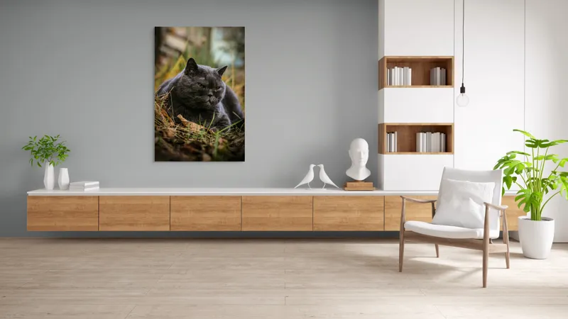 Tablou Canvas, "Pisica contemplativă în natura de toamnă", Nu știu cine este în imagine, dar pot spune că este un pisoi gri, cu o expresie calmă și fiind pe fundal de natură., 100 x 150 cm – poza 8