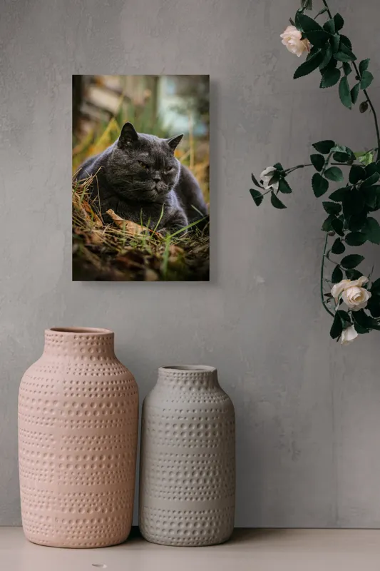 Tablou Canvas, "Pisica contemplativă în natura de toamnă", 26 x 39 cm – poza 6