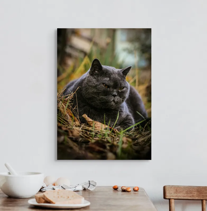 Tablou Canvas, "Pisica contemplativă în natura de toamnă", 50 x 70 cm – poza 3