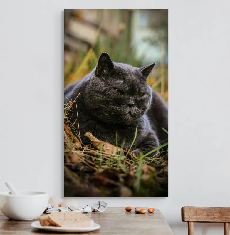 Tablou Canvas, "Pisica contemplativă în natura de toamnă", Nu știu cine este în imagine, dar pot spune că este un pisoi gri, cu o expresie calmă și fiind pe fundal de natură., 50 x 90 cm – poza 3