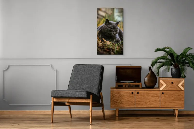 Tablou Canvas, "Pisica contemplativă în natura de toamnă", Nu știu cine este în imagine, dar pot spune că este un pisoi gri, cu o expresie calmă și fiind pe fundal de natură., 50 x 90 cm – poza 8