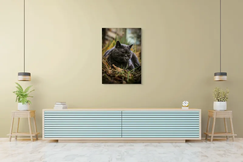 Tablou Canvas, "Pisica contemplativă în natura de toamnă", 70 x 100 cm – poza 5