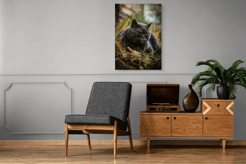 Tablou Canvas, "Pisica contemplativă în natura de toamnă", 70 x 100 cm – poza 6