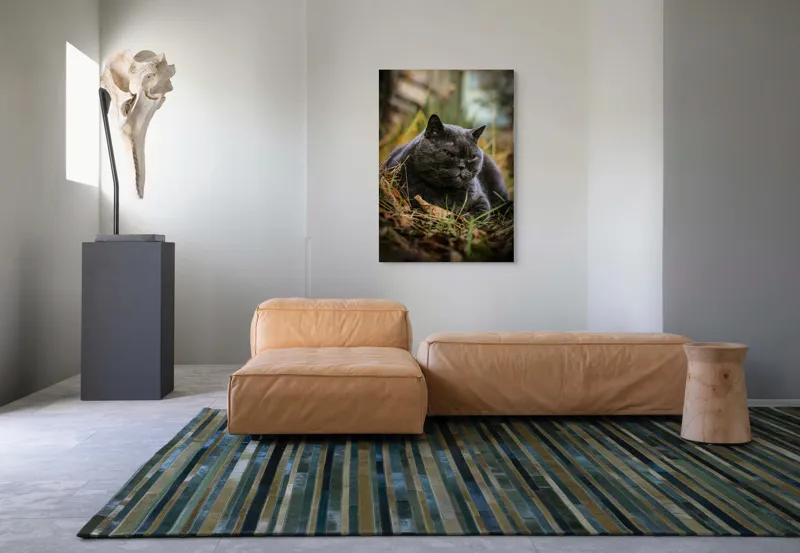 Tablou Canvas, "Pisica contemplativă în natura de toamnă", 70 x 100 cm – poza 7