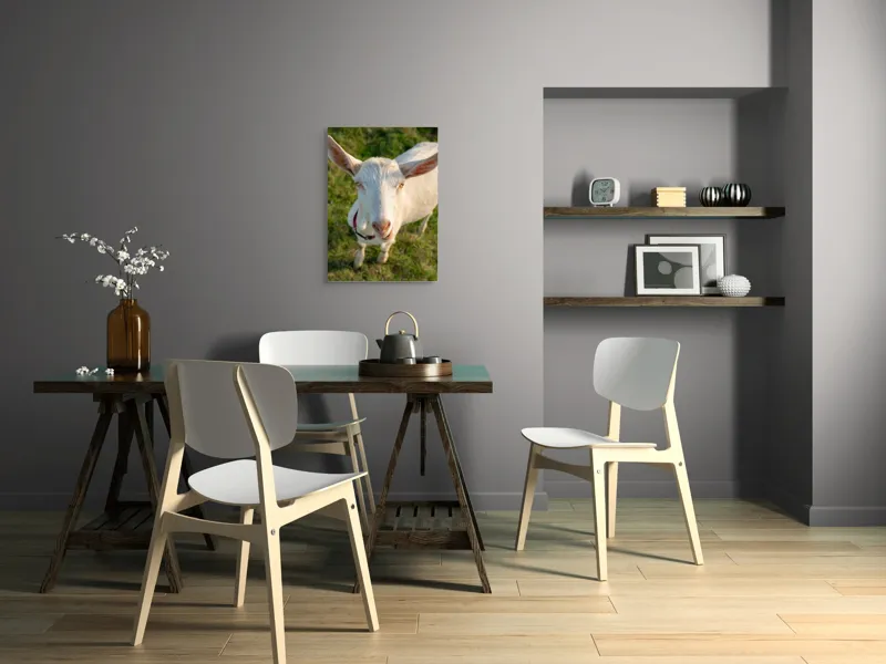 Tablou Canvas, "Capra în lumina apusului blând", Goat, Grass, Green, Ears, Collar, Nature, Curious, Outdoor, 50 x 70 cm – poza 5