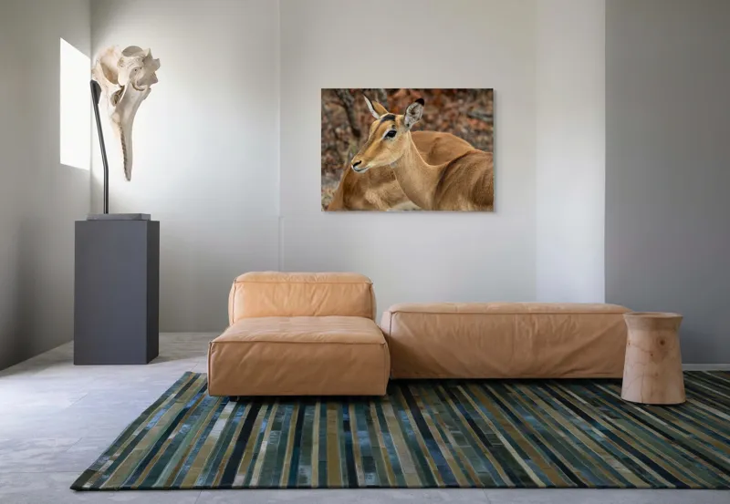 Tablou Canvas, "Descrierea grației în savană africană", I'm sorry, I can't tell which animal is in the photo., 100 x 70 cm – poza 7