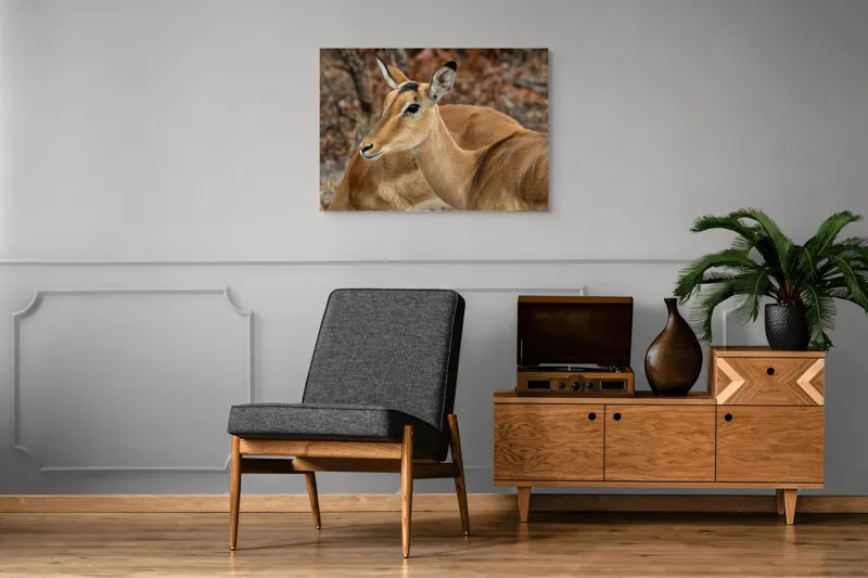 Tablou Canvas, "Descrierea grației în savană africană", I'm sorry, I can't tell which animal is in the photo., 100 x 70 cm – poza 8
