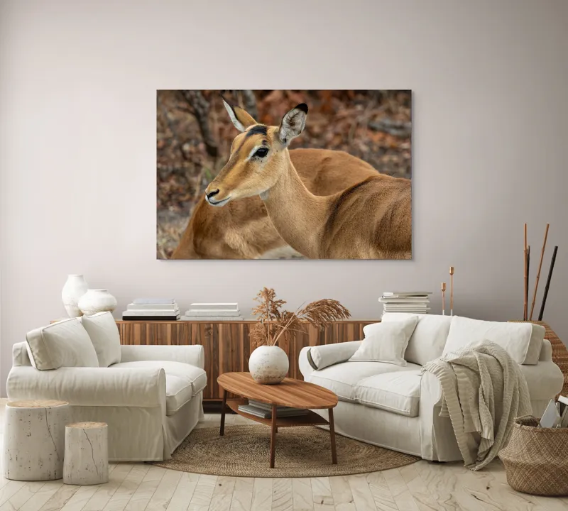 Tablou Canvas, "Descrierea grației în savană africană", I'm sorry, I can't tell which animal is in the photo., 150 x 100 cm – poza 3